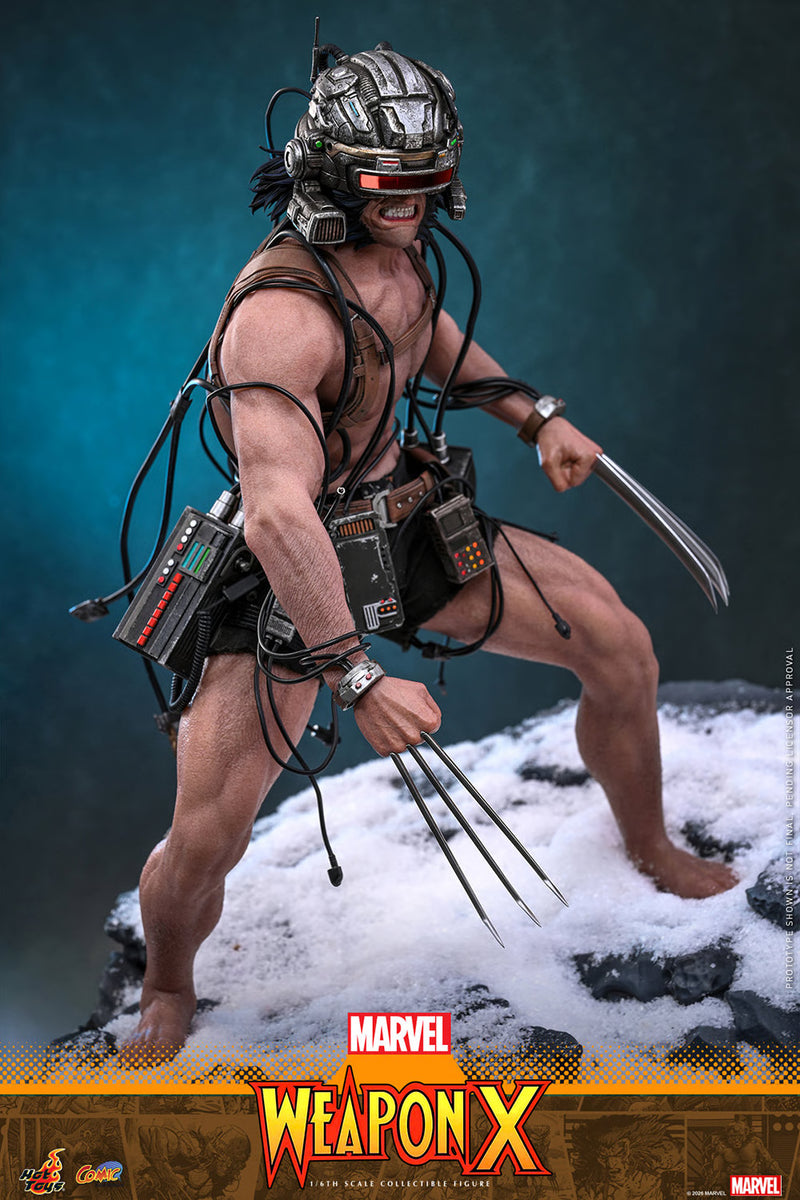 Load image into Gallery viewer, Hot Toys - Marvel Comics - Weapon X (CMS034)
