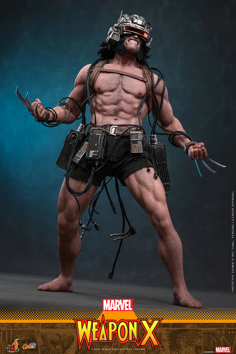 Load image into Gallery viewer, Hot Toys - Marvel Comics - Weapon X (CMS034)
