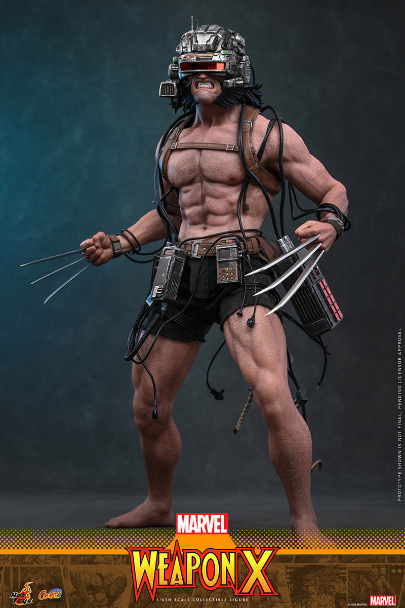 Load image into Gallery viewer, Hot Toys - Marvel Comics - Weapon X (CMS034)
