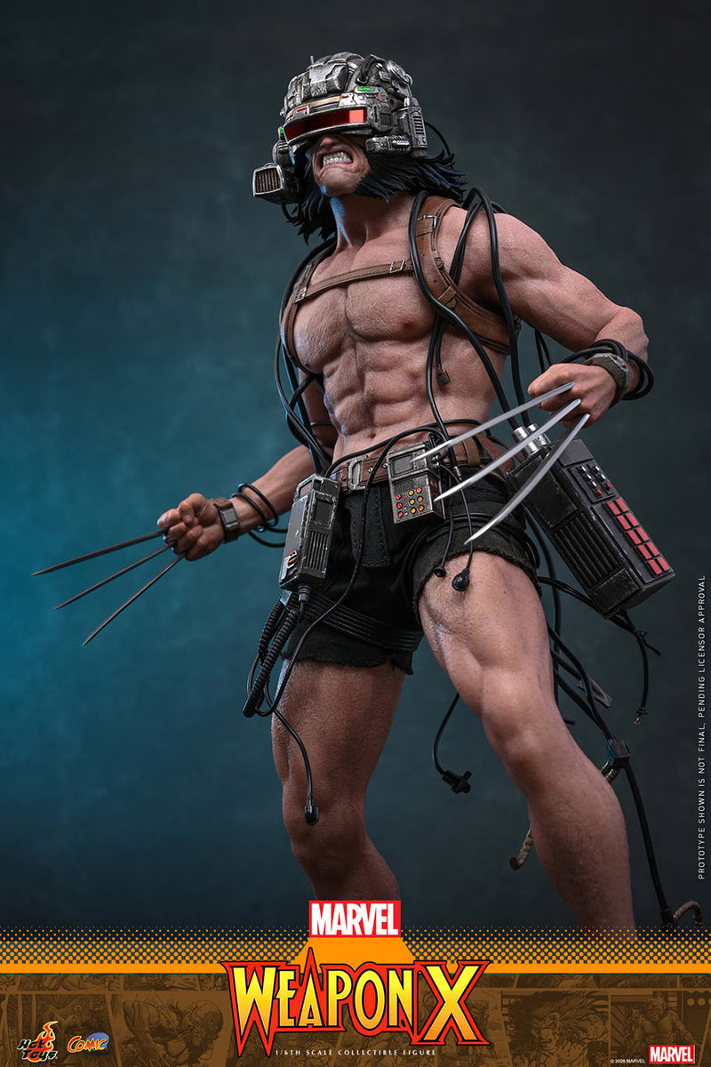 Load image into Gallery viewer, Hot Toys - Marvel Comics - Weapon X (CMS034)
