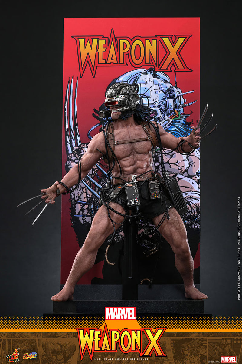 Load image into Gallery viewer, Hot Toys - Marvel Comics - Weapon X (CMS034)

