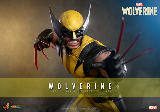 Hot Toys - Marvel's Wolverine (VGM91)