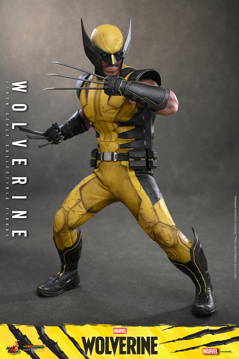 Load image into Gallery viewer, Hot Toys - Marvel's Wolverine (VGM91)

