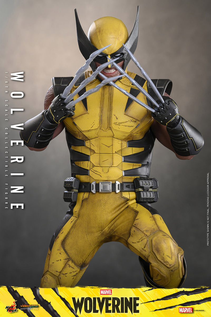 Load image into Gallery viewer, Hot Toys - Marvel's Wolverine (VGM91)
