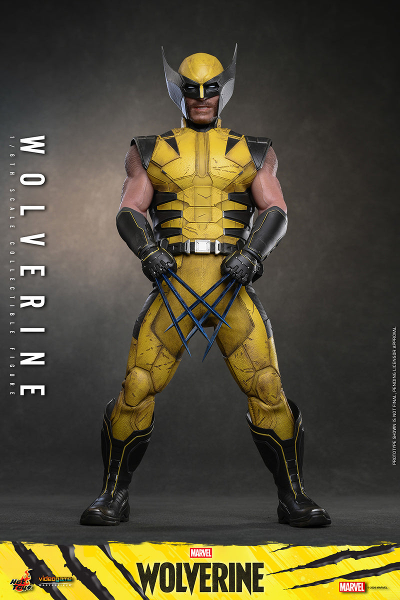 Load image into Gallery viewer, Hot Toys - Marvel's Wolverine (VGM91)
