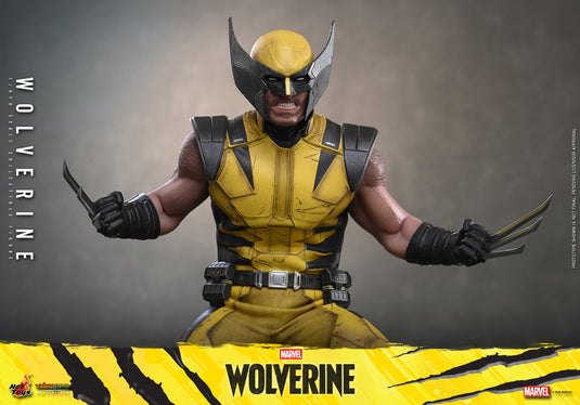 Hot Toys - Marvel's Wolverine (VGM91)