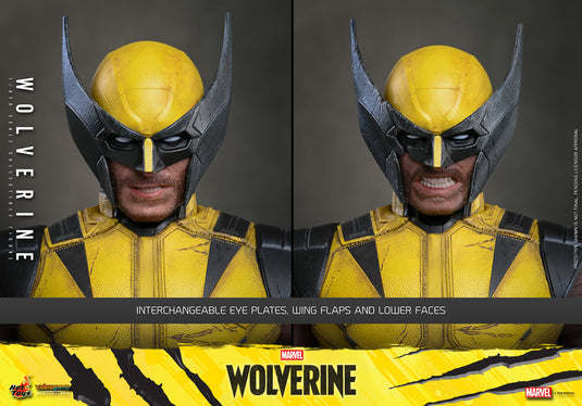 Hot Toys - Marvel's Wolverine (VGM91)