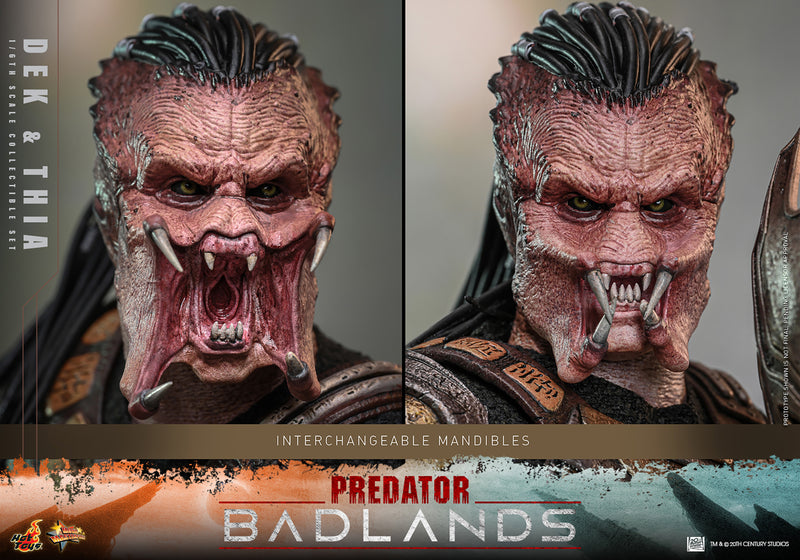 Load image into Gallery viewer, Hot Toys - Predator: Badlands - Dek and Thia
