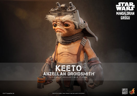 Hot Toys - Star Wars: The Mandalorian & Grogu - Keeto (Anzellan Droidsmith) Life-SIze Figure (LMS018)