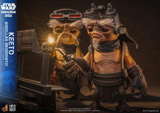 Hot Toys - Star Wars: The Mandalorian & Grogu - Keeto (Anzellan Droidsmith) Life-Size Figure (LMS018)
