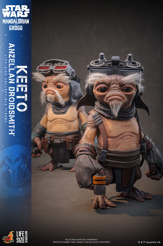 Hot Toys - Star Wars: The Mandalorian & Grogu - Keeto (Anzellan Droidsmith) Life-Size Figure (LMS018)