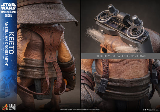 Hot Toys - Star Wars: The Mandalorian & Grogu - Keeto (Anzellan Droidsmith) Life-Size Figure (LMS018)