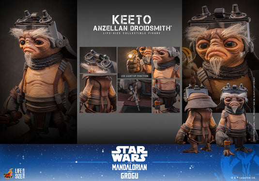 Hot Toys - Star Wars: The Mandalorian & Grogu - Keeto (Anzellan Droidsmith) Life-Size Figure (LMS018)