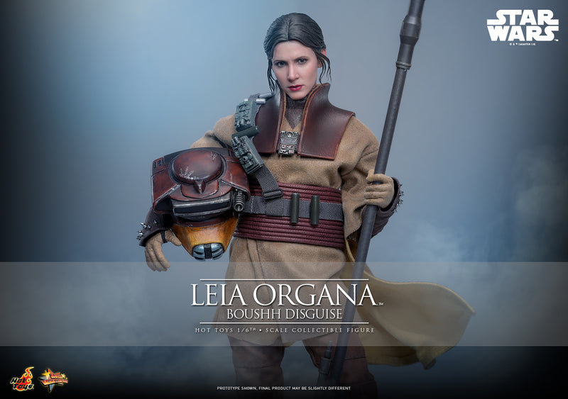 Load image into Gallery viewer, Hot Toys - Star Wars: Return of the Jedi - Leia Organa (Boushh Disguise)
