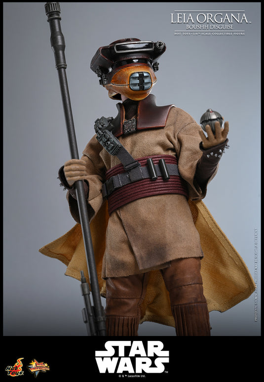 Hot Toys - Star Wars: Return of the Jedi - Leia Organa (Boushh Disguise)
