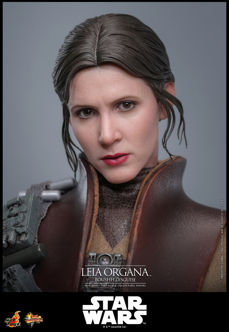 Load image into Gallery viewer, Hot Toys - Star Wars: Return of the Jedi - Leia Organa (Boushh Disguise)
