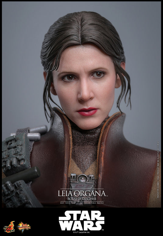 Hot Toys - Star Wars: Return of the Jedi - Leia Organa (Boushh Disguise)