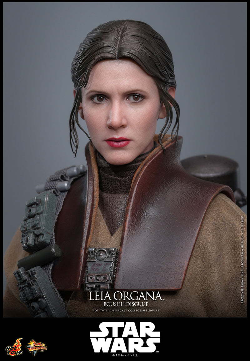 Load image into Gallery viewer, Hot Toys - Star Wars: Return of the Jedi - Leia Organa (Boushh Disguise)
