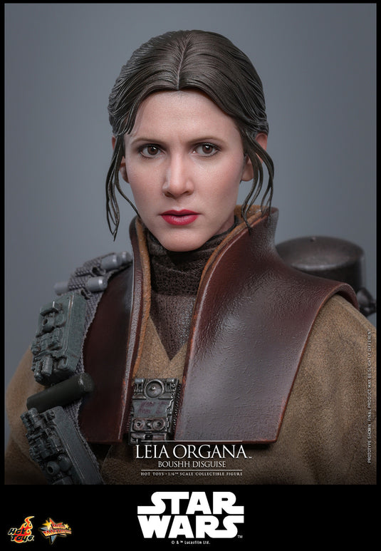 Hot Toys - Star Wars: Return of the Jedi - Leia Organa (Boushh Disguise)