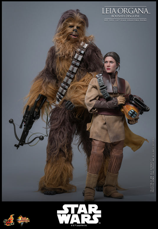 Hot Toys - Star Wars: Return of the Jedi - Leia Organa (Boushh Disguise)