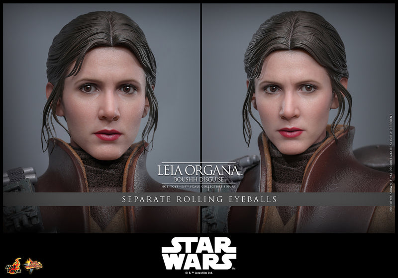 Load image into Gallery viewer, Hot Toys - Star Wars: Return of the Jedi - Leia Organa (Boushh Disguise)
