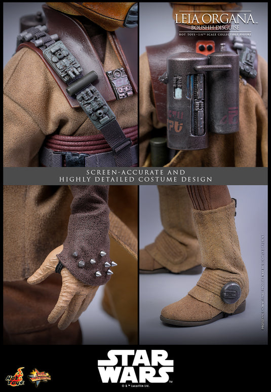 Hot Toys - Star Wars: Return of the Jedi - Leia Organa (Boushh Disguise)