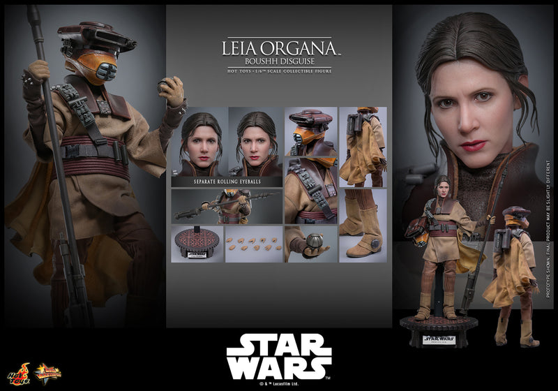Load image into Gallery viewer, Hot Toys - Star Wars: Return of the Jedi - Leia Organa (Boushh Disguise)
