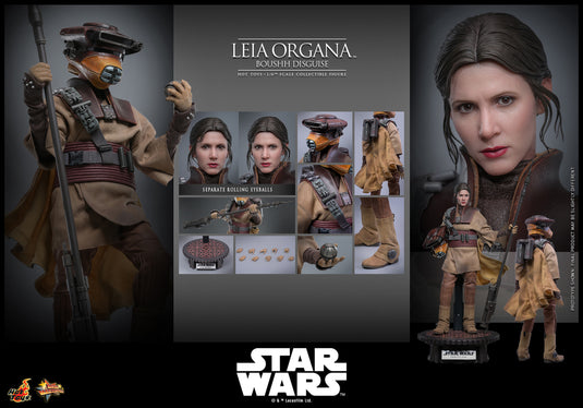 Hot Toys - Star Wars: Return of the Jedi - Leia Organa (Boushh Disguise)