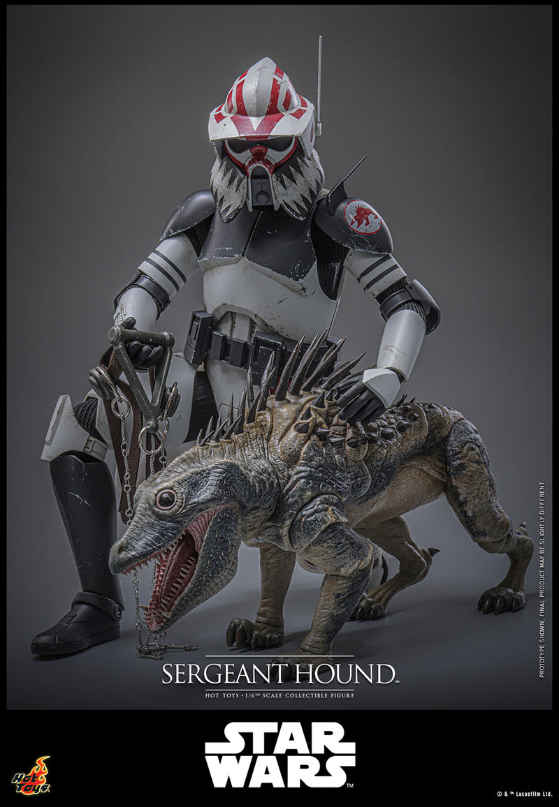 Load image into Gallery viewer, Hot Toys - Star Wars The Clone Wars - Sergeant Hound
