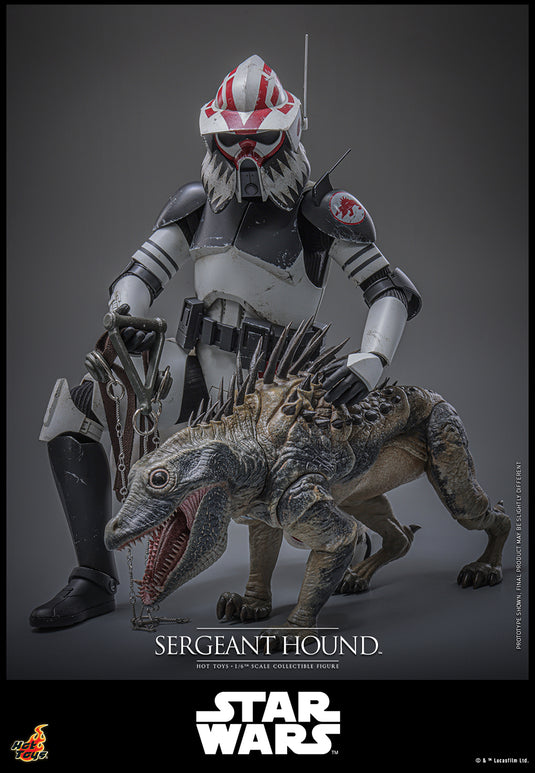 Hot Toys - Star Wars The Clone Wars - Sergeant Hound