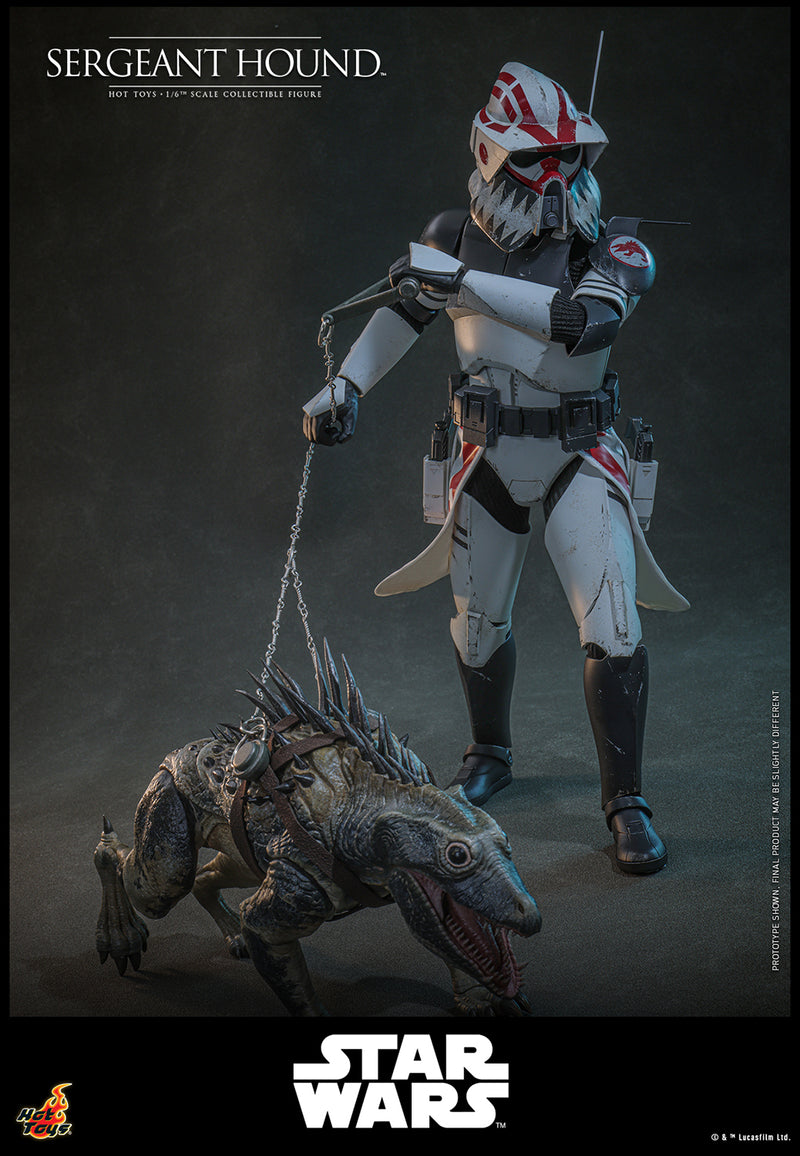 Load image into Gallery viewer, Hot Toys - Star Wars The Clone Wars - Sergeant Hound
