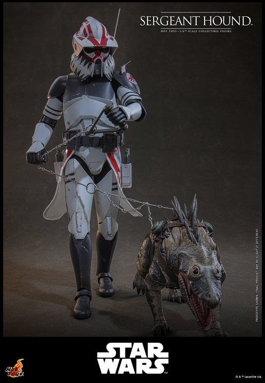 Hot Toys - Star Wars The Clone Wars - Sergeant Hound