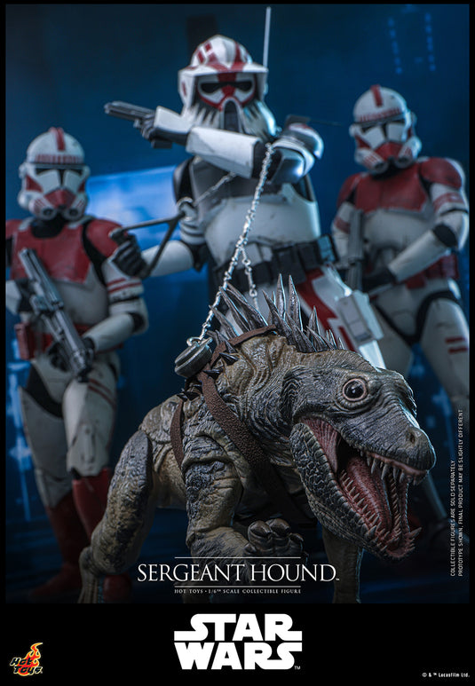 Hot Toys - Star Wars The Clone Wars - Sergeant Hound