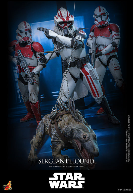 Hot Toys - Star Wars The Clone Wars - Sergeant Hound