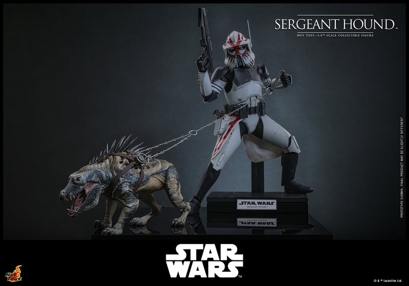 Load image into Gallery viewer, Hot Toys - Star Wars The Clone Wars - Sergeant Hound
