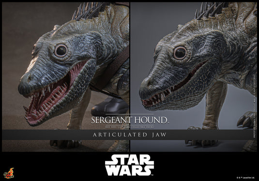 Hot Toys - Star Wars The Clone Wars - Sergeant Hound