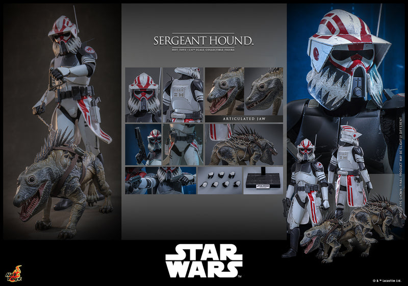 Load image into Gallery viewer, Hot Toys - Star Wars The Clone Wars - Sergeant Hound
