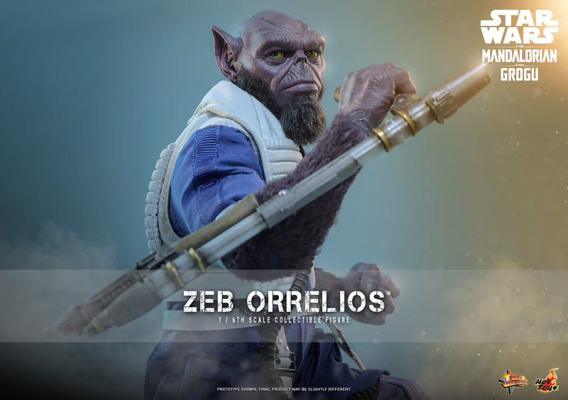 Load image into Gallery viewer, Hot Toys - Star Wars: The Mandalorian &amp; Grogu - Zeb Orrelios (MMS876)
