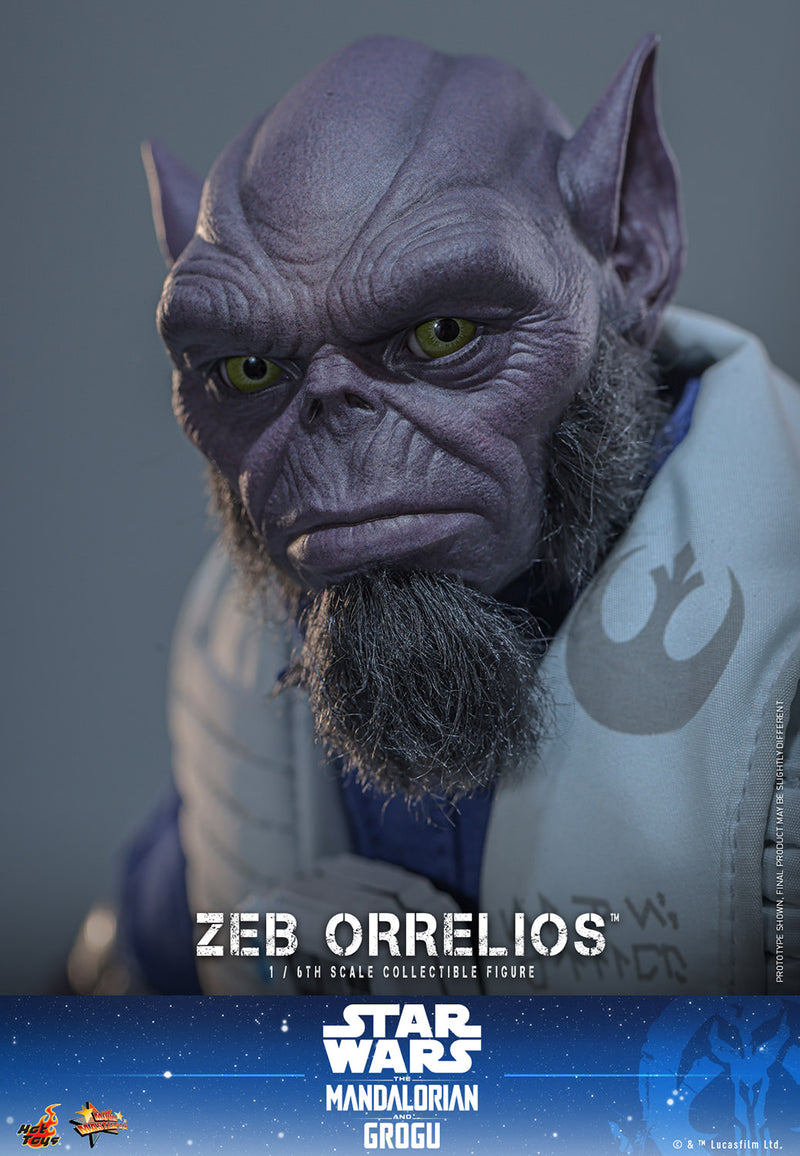 Load image into Gallery viewer, Hot Toys - Star Wars: The Mandalorian &amp; Grogu - Zeb Orrelios (MMS876)

