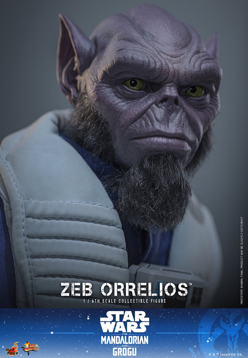 Load image into Gallery viewer, Hot Toys - Star Wars: The Mandalorian &amp; Grogu - Zeb Orrelios (MMS876)
