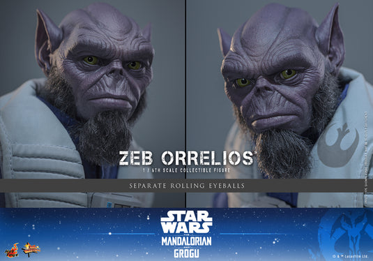 Hot Toys - Star Wars: The Mandalorian & Grogu - Zeb Orrelios (MMS876)
