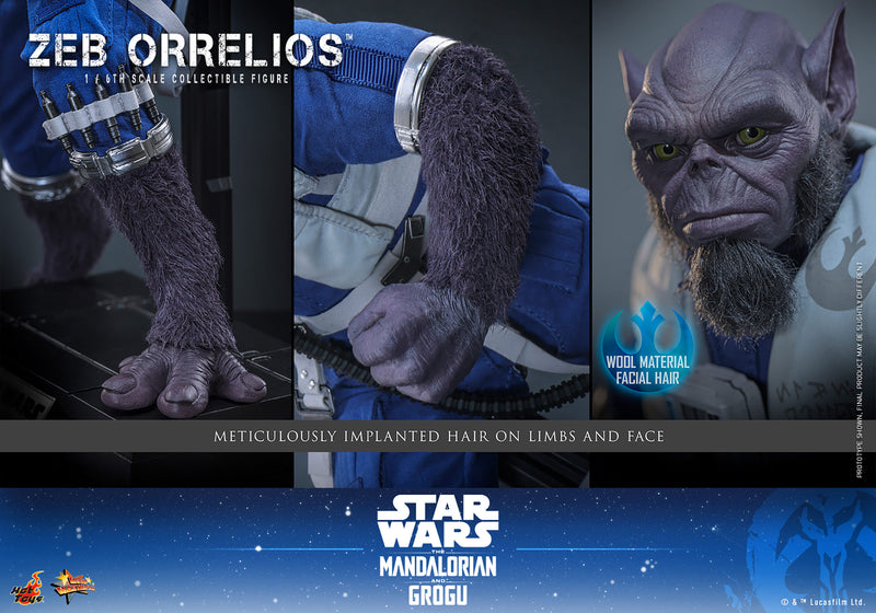 Load image into Gallery viewer, Hot Toys - Star Wars: The Mandalorian &amp; Grogu - Zeb Orrelios (MMS876)
