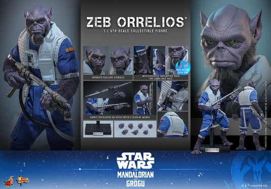 Hot Toys - Star Wars: The Mandalorian & Grogu - Zeb Orrelios (MMS876)