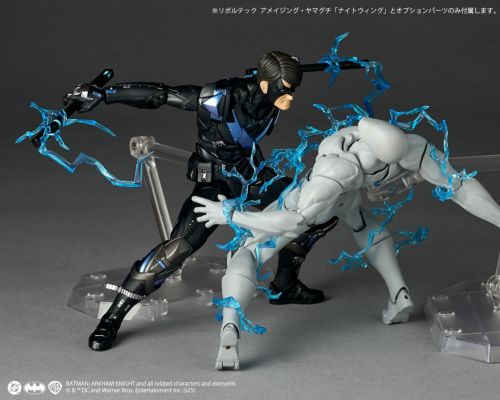 Load image into Gallery viewer, Kaiyodo - Amazing Yamaguchi - Revoltech DC Comics NR104 - Nightwing
