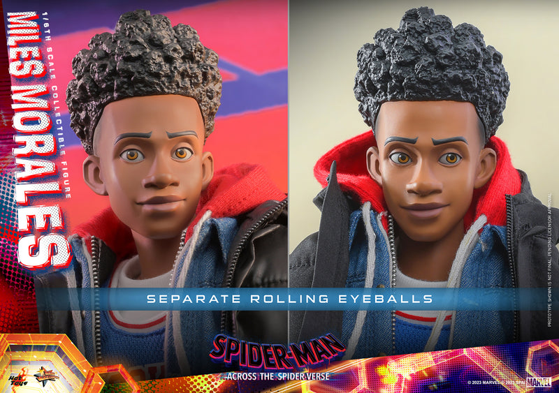 Load image into Gallery viewer, Hot Toys - Spider-Man - Across The Spider-Verse - Spider-Man (Miles Morales)
