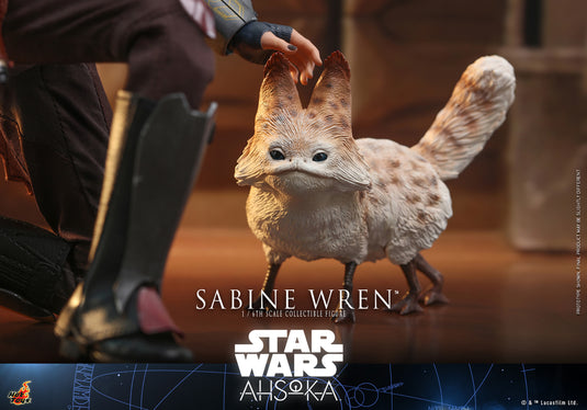 Hot Toys - Star Wars Ahsoka - Sabine Wren