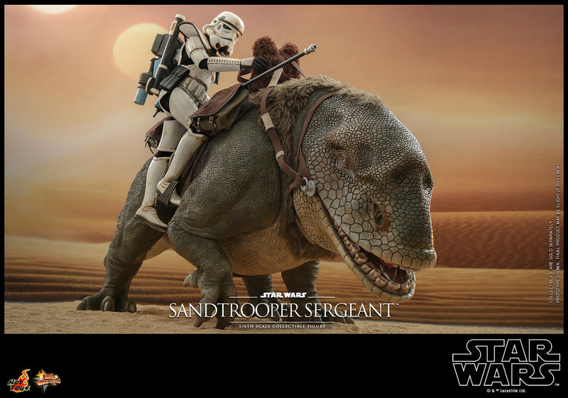 Load image into Gallery viewer, Hot Toys - Star Wars A New Hope - Sandtrooper Sergeant
