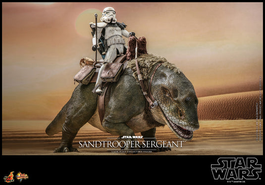 Hot Toys - Star Wars A New Hope - Sandtrooper Sergeant