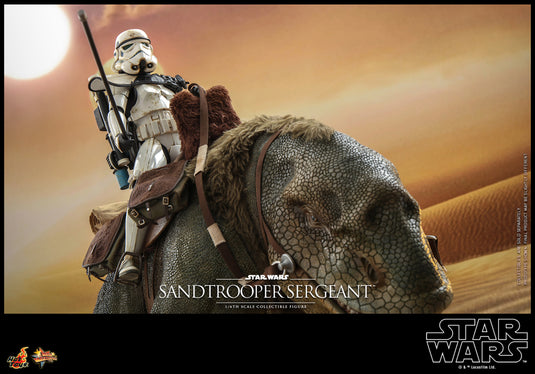 Hot Toys - Star Wars A New Hope - Sandtrooper Sergeant