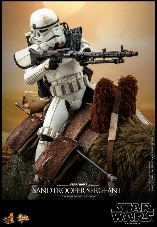 Hot Toys - Star Wars A New Hope - Sandtrooper Sergeant